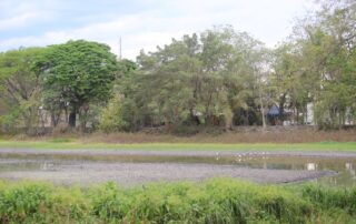 Laguna del Coapinole