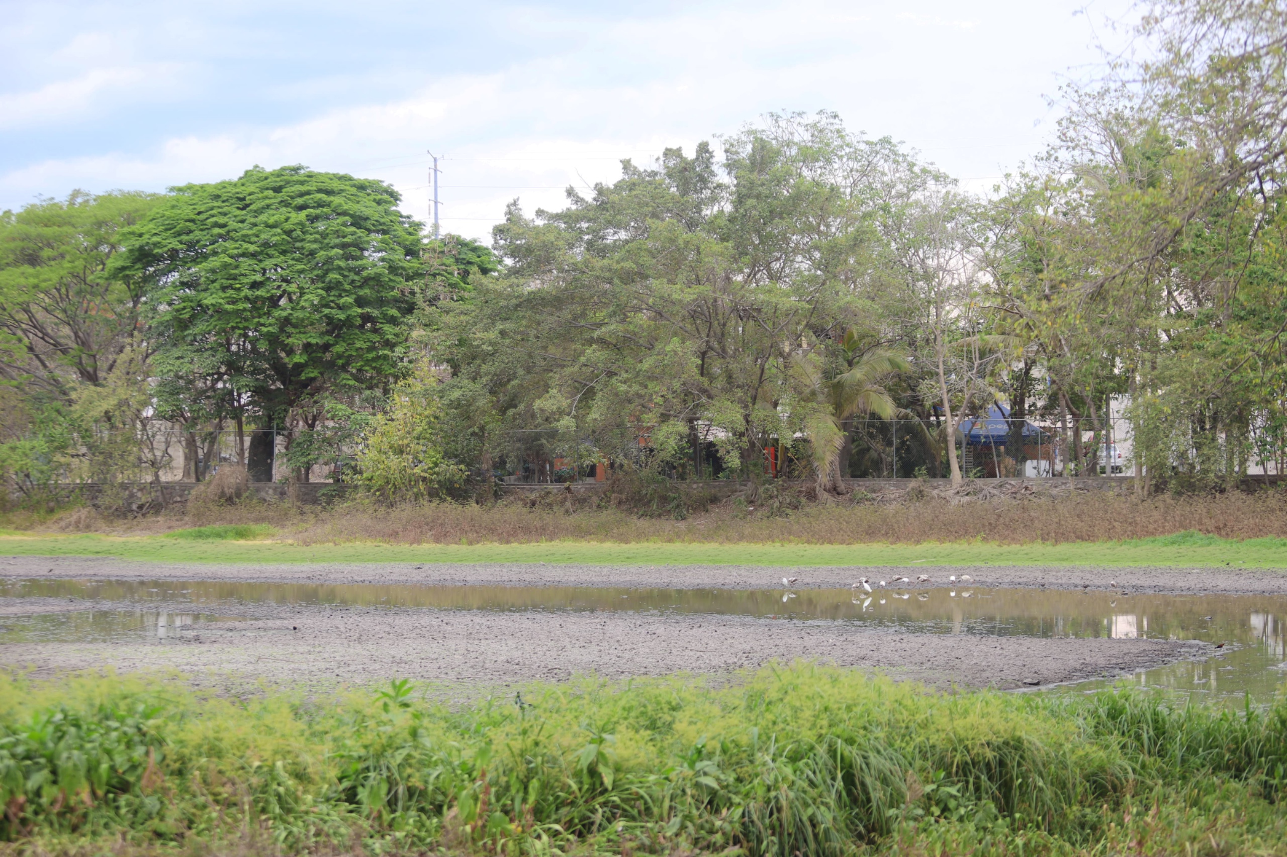 Laguna del Coapinole