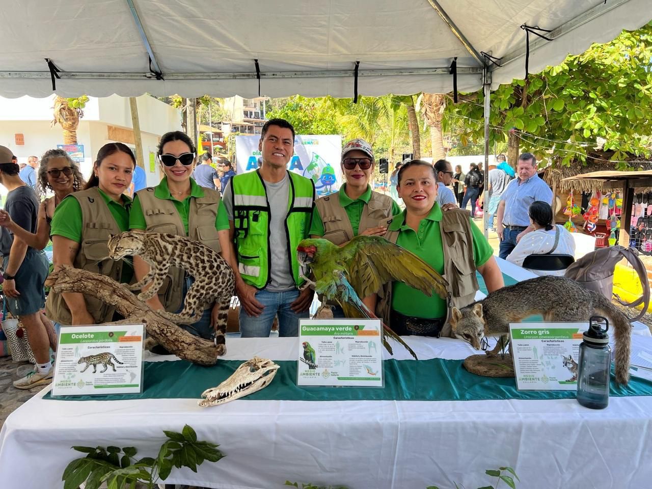 Inicia programa Árboles de Plaza en Plaza en Puerto Vallarta