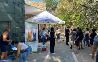 Puerto Vallarta supera mil esterilizaciones gratuitas