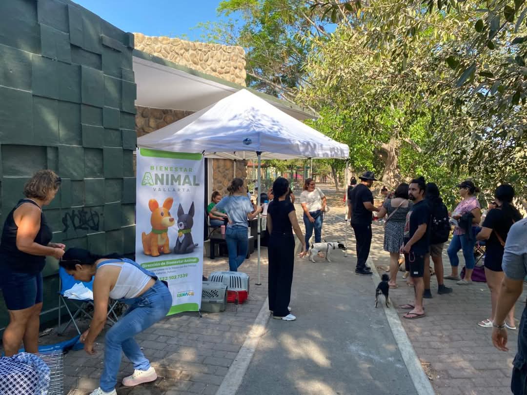 Puerto Vallarta supera mil esterilizaciones gratuitas