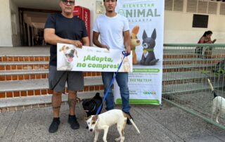 Encuentran hogar a cachorros en jornada de adopción