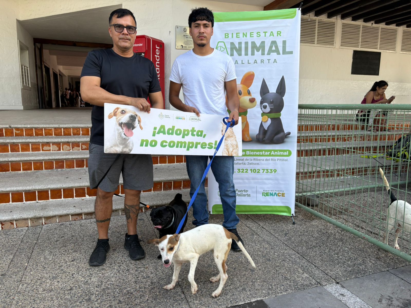 Encuentran hogar a cachorros en jornada de adopción