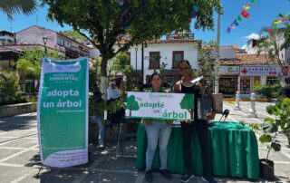 Ciudadanos adoptan árboles en Plaza de Armas de Vallarta 2025